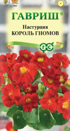 Настурция Король гномов (Гавриш) - Сезон у Дачи