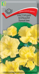 Настурция Лунный блик (Поиск) - Сезон у Дачи