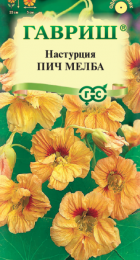 Настурция Пич Мелба (Гавриш) - Сезон у Дачи