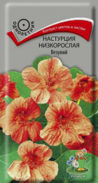 Настурция Везувий (Поиск) - Сезон у Дачи