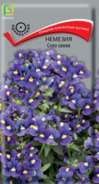 Немезия Соло синяя (Поиск) - Сезон у Дачи