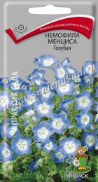 Немофила менциса Голубая - Сезон у Дачи