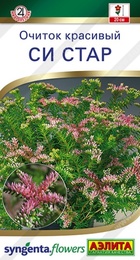 Очиток красивый Си Стар (Аэлита) - Сезон у Дачи