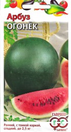 Арбуз Огонек (Гавриш) - Сезон у Дачи