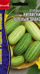 Огурдыня Китайский Зелёный Дракон (Chinese Green Dragon) (Григорьев) - Сезон у Дачи