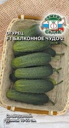 Огурец Балконное чудо 2 F1 (СеДеК) - Сезон у Дачи