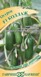 Огурец Коллаж F1 (Гавриш) - Сезон у Дачи