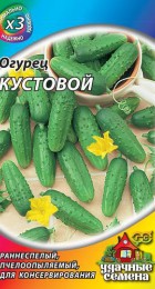 Огурец Кустовой /МЕТАЛЛ (Г) - Сезон у Дачи