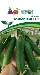 Огурец Маринин F1 (Партнер) - Сезон у Дачи