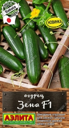 Огурец Зена F1 (Аэлита) - Сезон у Дачи