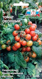 Томат Оконный - Сезон у Дачи