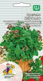 Орегано Бергамо (УД) - Сезон у Дачи