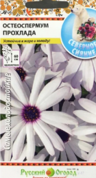 Остеоспермум Прохлада (НК) - Сезон у Дачи