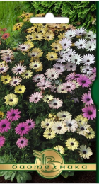 Остеоспермум Санни Гранд Каньон Микс (Биотехника) - Сезон у Дачи