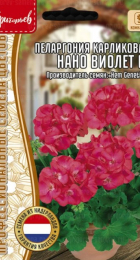 Пеларгония Нано Виолет F1 карликовая (Фиолетовая) (Nano Violet) (Григорьев) - Сезон у Дачи