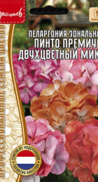 Пеларгония Пинто Премиум Двухцветный Микс зональная  (Pinto Premium Bicolor Mix) (Григорьев) - Сезон у Дачи
