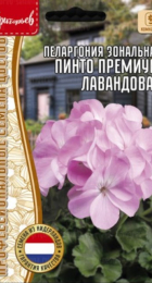 Пеларгония Пинто Премиум Лавандовая зональная (Pinto Premium Lavender) (Григорьев) - Сезон у Дачи