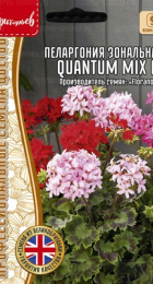 Пеларгония Quantum Mix F1 (Григорьев) - Сезон у Дачи