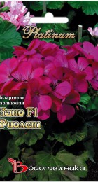 Пеларгония зональная карликовая Нано F1 Виолет - Сезон у Дачи