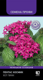 Пентас Космик Хот пинк /Семена Профи (Поиск) - Сезон у Дачи
