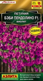 Петуния Бэби Пендолино F1 Виолет (Аэлита) - Сезон у Дачи