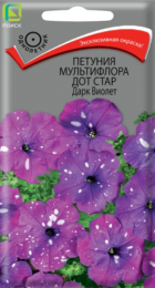 Петуния Дот Стар Дарк Виолет (Поиск) - Сезон у Дачи