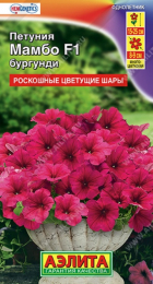 Петуния Мамбо F1 Бургунди (Аэлита) - Сезон у Дачи