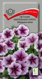 Петуния Опера малиновые жилки ампельная (ПОИСК) - Сезон у Дачи