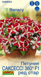 Петуния САКСЕСС! 360 F1 Ред Стар (Аэлита) - Сезон у Дачи