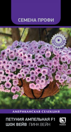 Петуния Шок Вейв F1 Пинк Вейн ампельная (Поиск) - Сезон у Дачи
