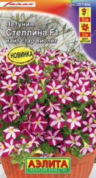Петуния Стеллина F1 Вайт Стар Виолет (Аэлита) - Сезон у Дачи