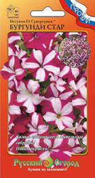 Петуния Супертуния Бургунди Стар F1 (НК) - Сезон у Дачи