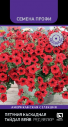 Петуния Тайдал Вейв Ред Велюр /Семена Профи (Поиск) - Сезон у Дачи