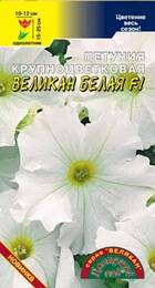 Петуния Великан Белая F1 (ЦС) - Сезон у Дачи