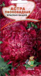 Астра пионовидная Красная башня - Сезон у Дачи