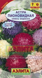 Астра Пионовидная смесь (Аэлита) - Сезон у Дачи