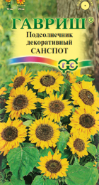 Подсолнечник Санспот - Сезон у Дачи