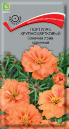 Портулак Солнечная страна оранжевый крупноцветковый (ПОИСК) - Сезон у Дачи