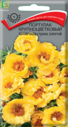 Портулак Солнечная страна Золотой крупноцветковый (Поиск) - Сезон у Дачи