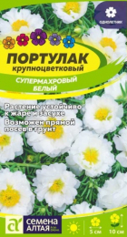 Портулак Супермахровый белый (Сем Алт) - Сезон у Дачи