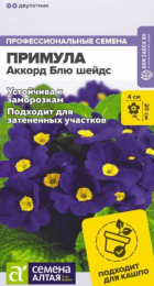 Примула Аккорд Блю шейдс (Сем Алт) - Сезон у Дачи