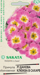 Примула Данова F1 Клюква в сахаре (Гавриш) - Сезон у Дачи