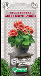 Примула обконика ЛИБРЕ Цветок Любви 5шт (Евросемена) - Сезон у Дачи