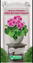 Примула обконика ЛИБРЕ Весенний Поцелуй (Евросемена) - Сезон у Дачи