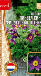 Прострел Pinwheel Blue Violet Shades (Григорьев) - Сезон у Дачи