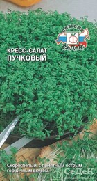 Салат Кресс-салат Пучковый - Сезон у Дачи