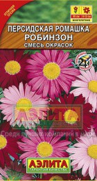 Ромашка персидская Робинзон - Сезон у Дачи