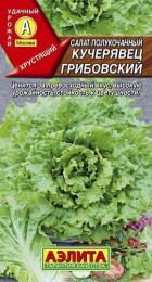 Салат Кучерявец грибовский - Сезон у Дачи