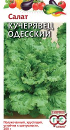 Салат Кучерявец Одесский (Г) - Сезон у Дачи