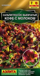Сальпиглоссис Кофе с молоком (Аэлита) - Сезон у Дачи
